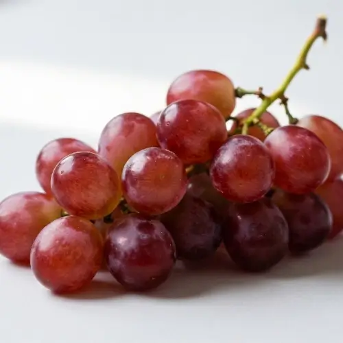 A cluster of fresh, green grapes on a neutral background.